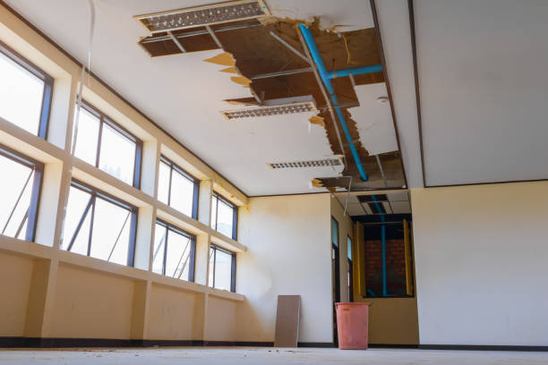  Rutherford, NJ Water damage restoration Pros