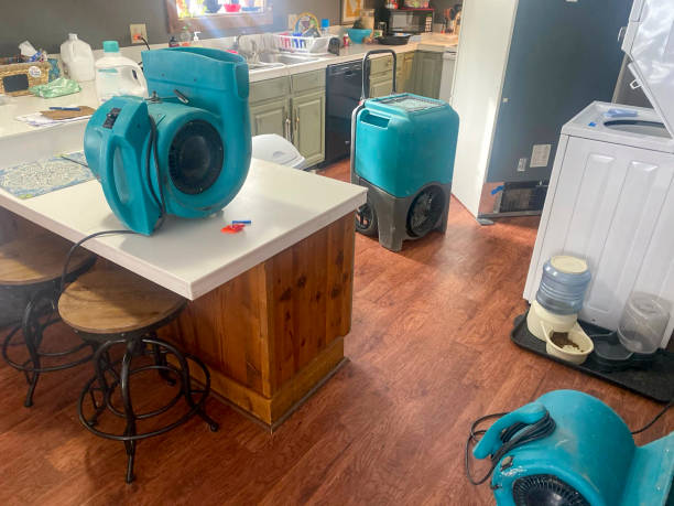 Best Water damage cleanup near me  in Rutherford, NJ