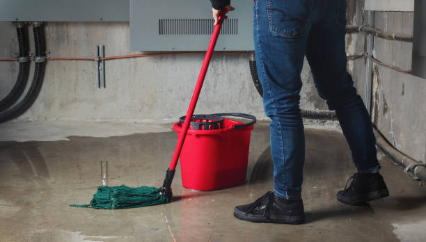 Best Water damage contractors near me  in Rutherford, NJ