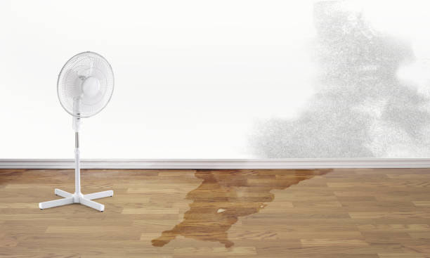 Best Ceiling water damage repair  in Rutherford, NJ