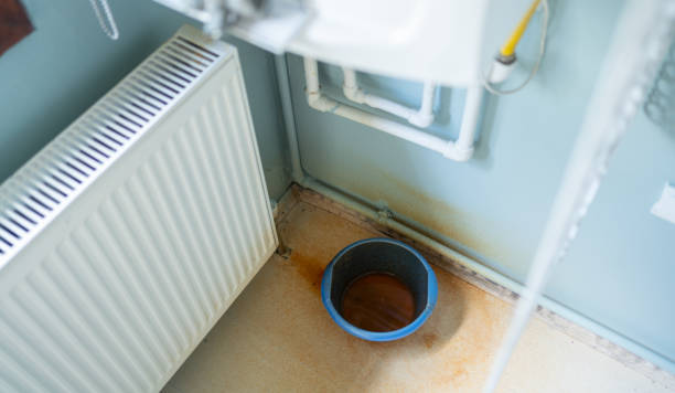 Best 24-hour water damage restoration  in Rutherford, NJ
