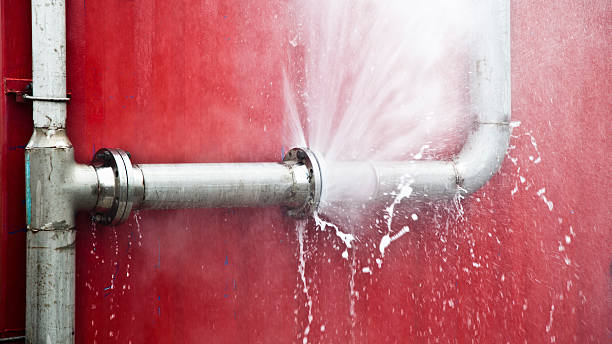 Best Mold removal after water damage  in Rutherford, NJ